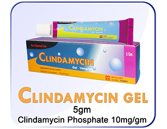 Clindamycin 5 gm